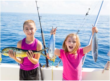 2024最新版本的网站攻击软件